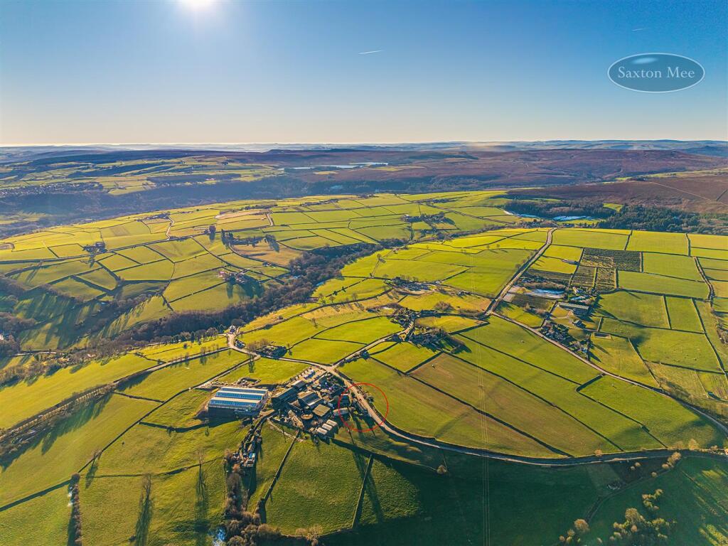 DJI_20250116131207_0211_D copy.jpg