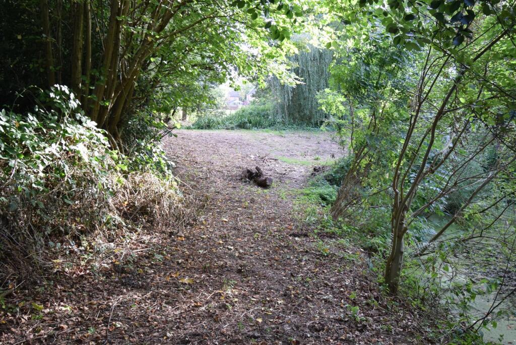 Woodland