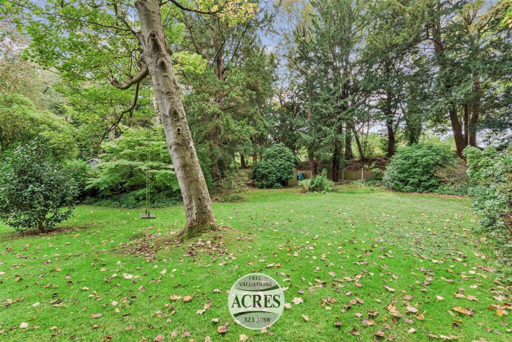 TheSpinney (43) (Large).jpg