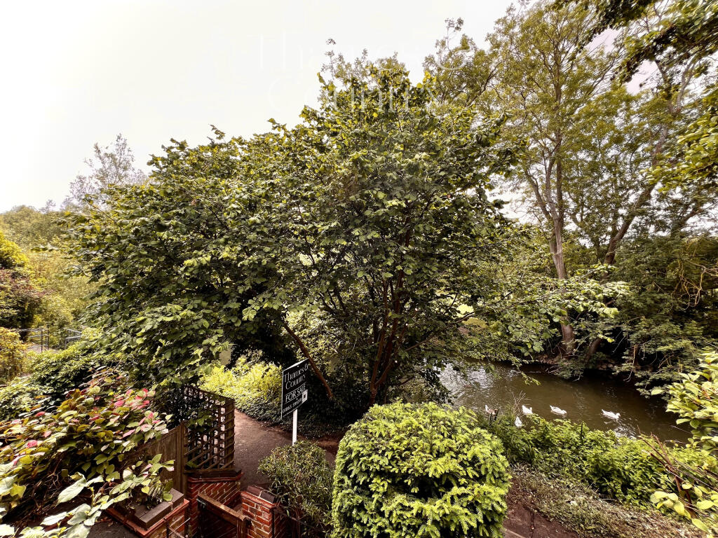 First Floor rear view