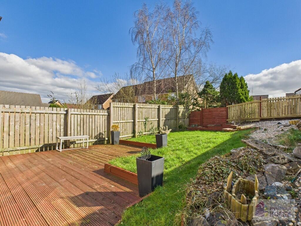 Rear Gardens