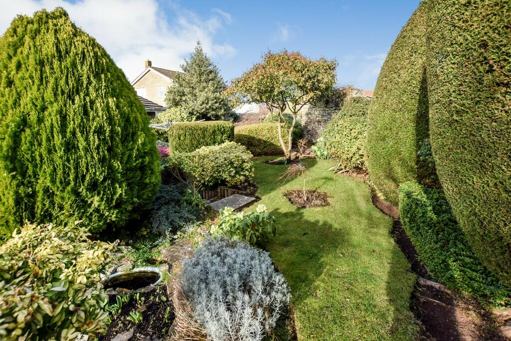 Rear garden