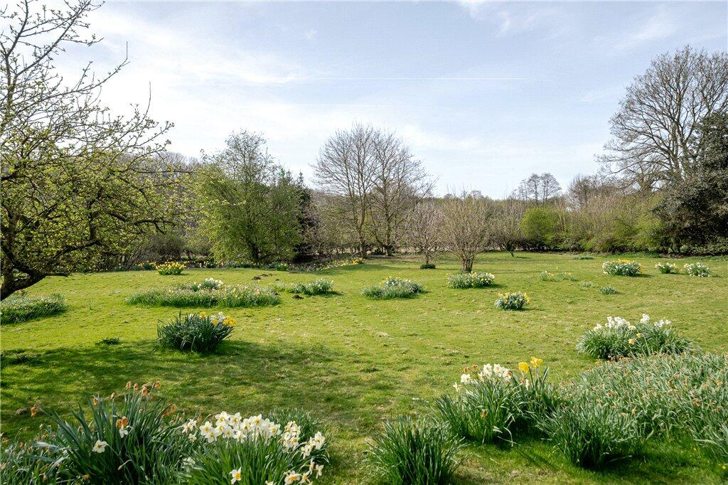 Grounds
