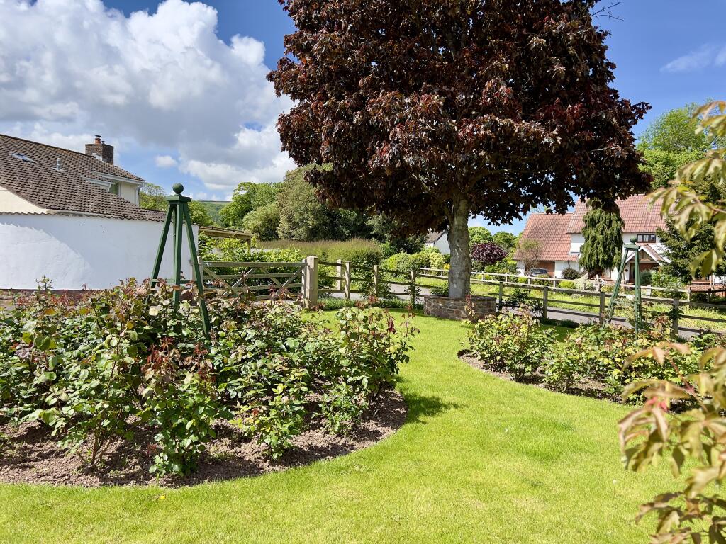 Front Rose Garden