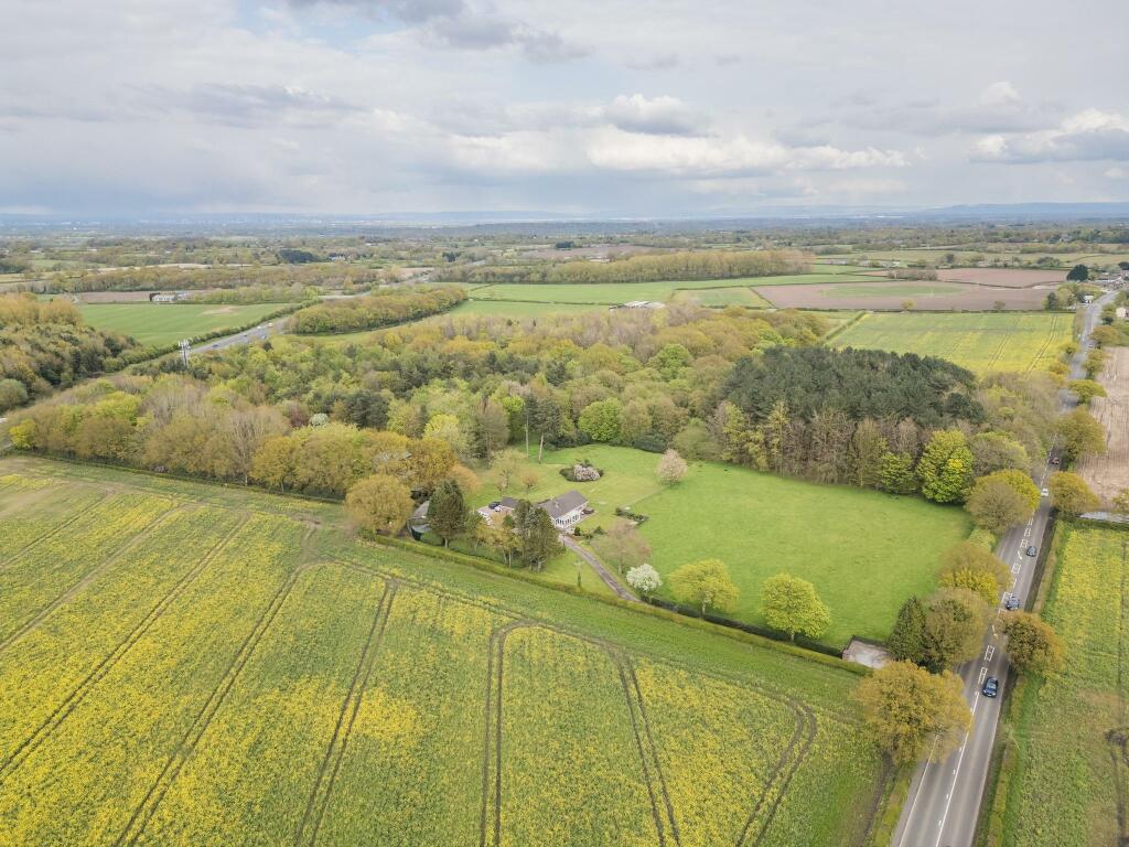 20240410-DJI_0869.jpg