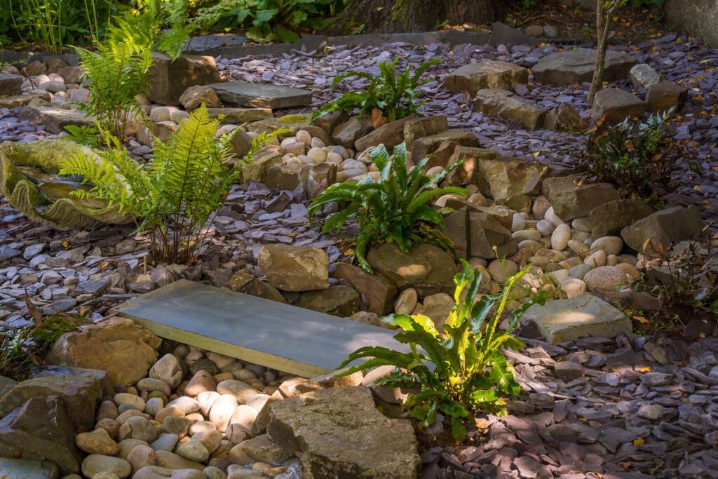 2021_07_21_10_40_SV308523__The House of Black &amp; Wh