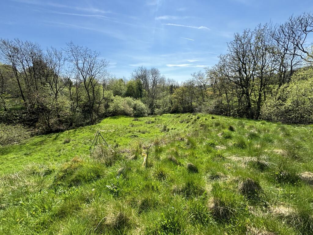LAND 4 T202508041512.jpg