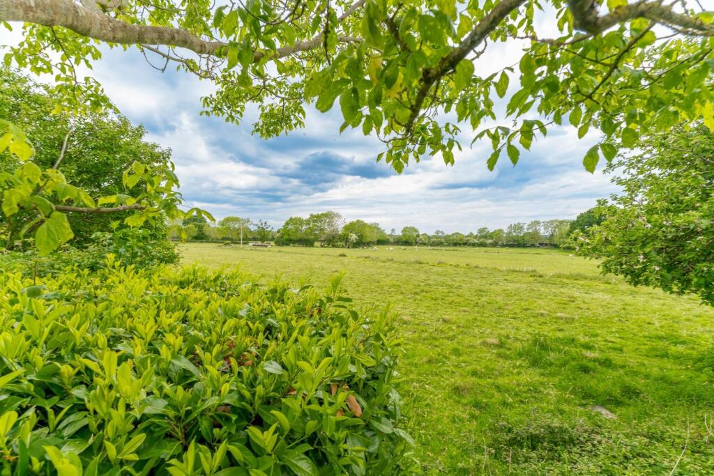 15 - view beyond the garden.jpg