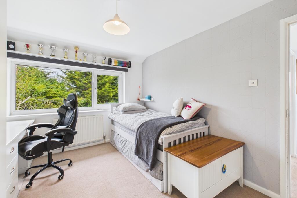 CAM03162G0-PR0244-STILL025