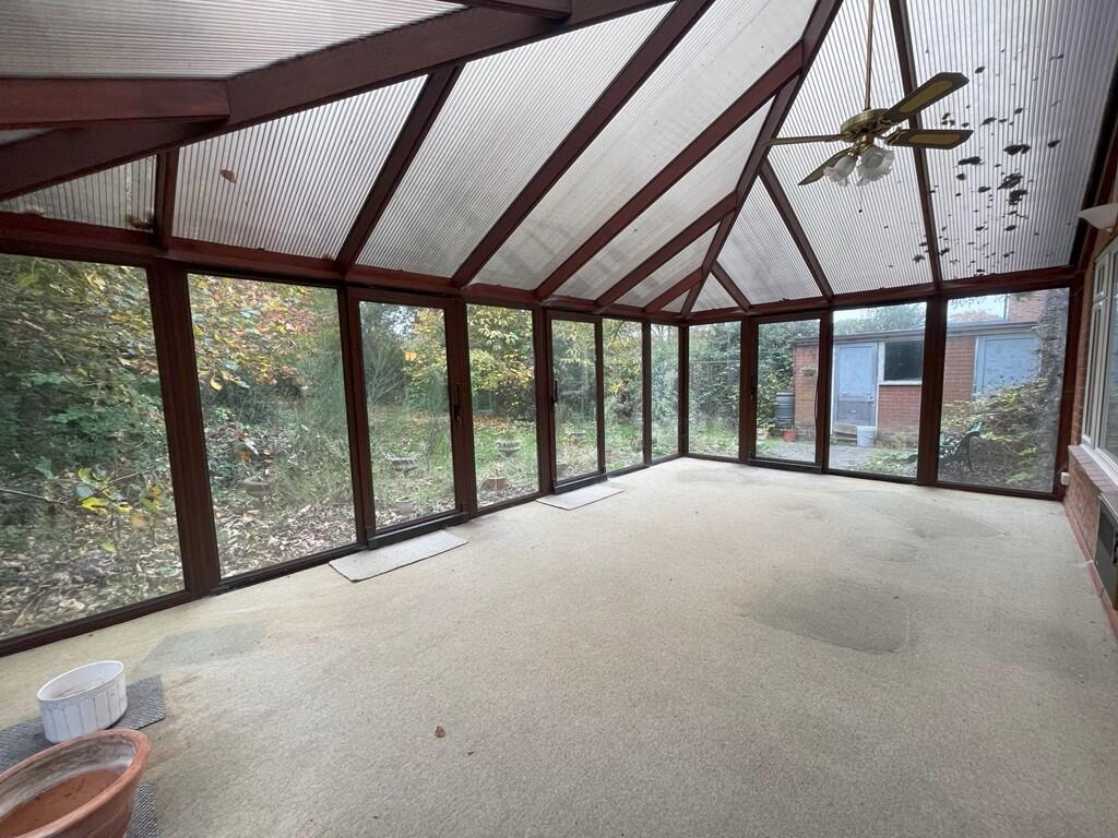 IMG 6099 (Medium) Jpg T202411081249.jpg