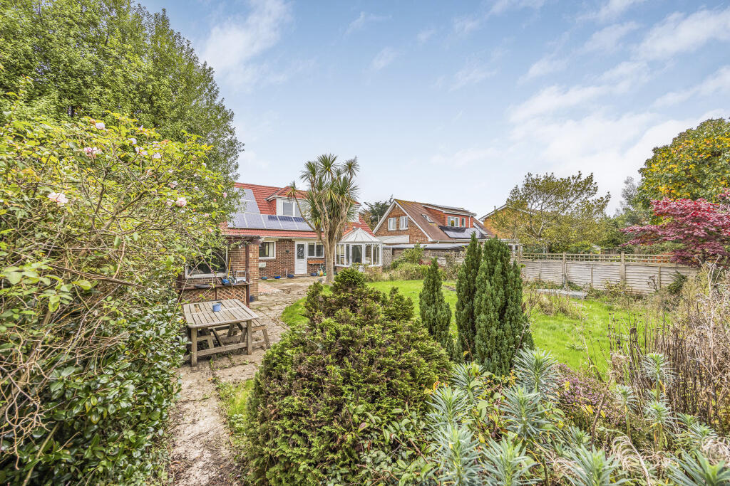 20241109110857611_original [397830750].jpg