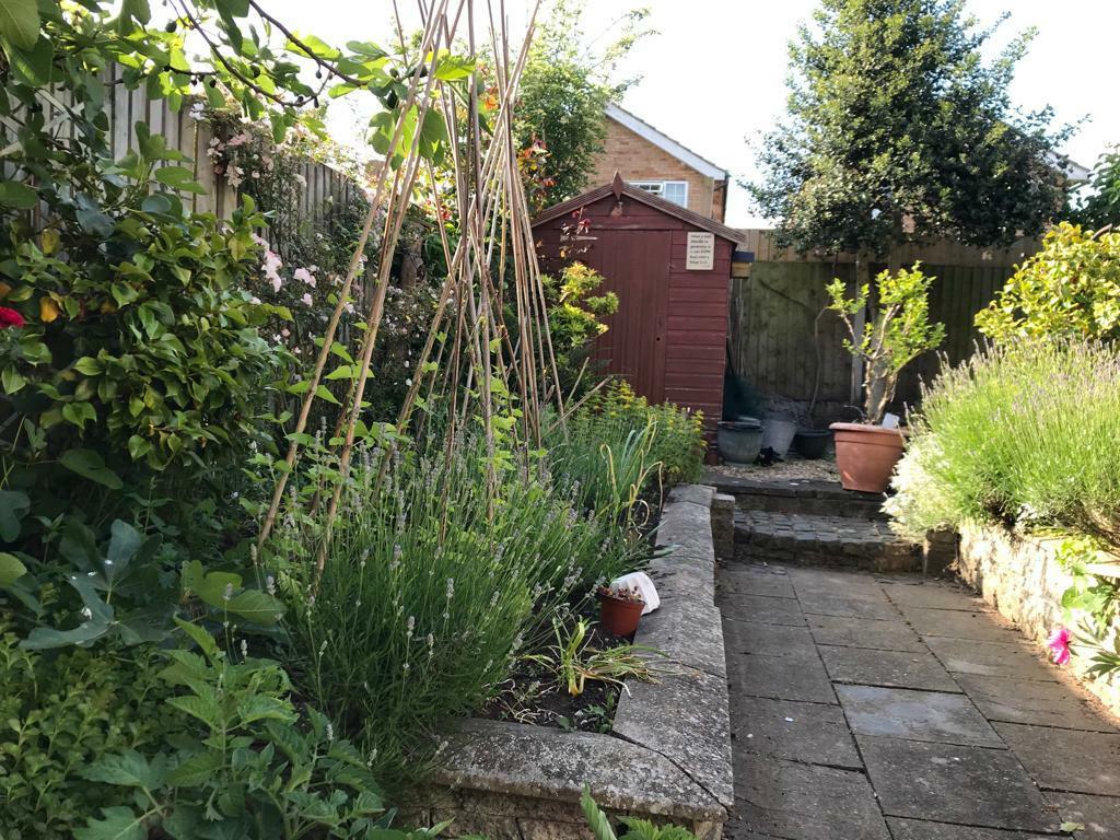 Garden 2.jpg