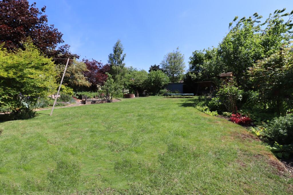 Back Garden II
