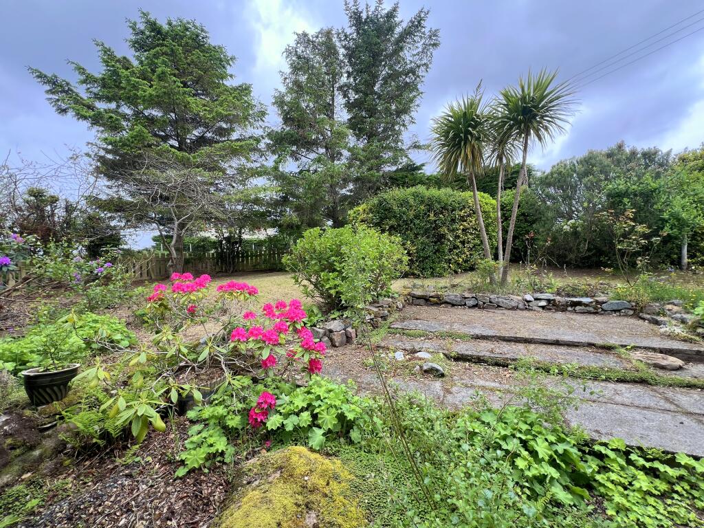 Garden 2