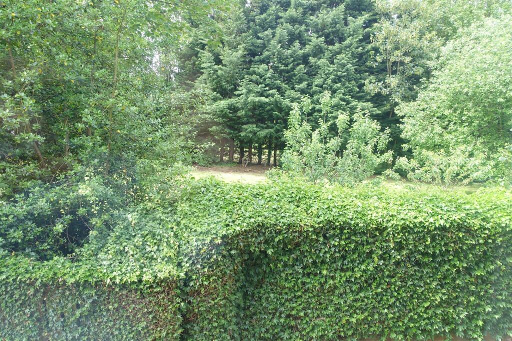 View from Lounge