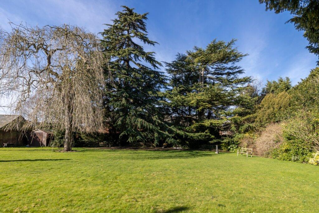Lawn