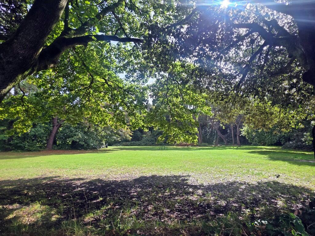 Park Land Opposite
