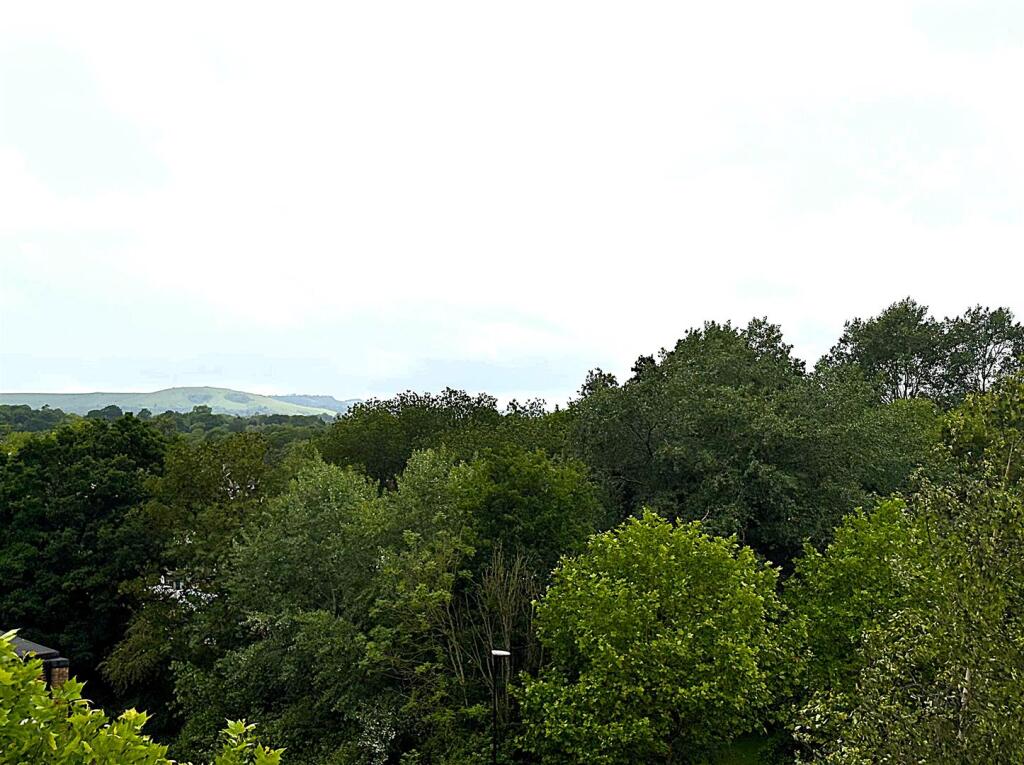View.jpg
