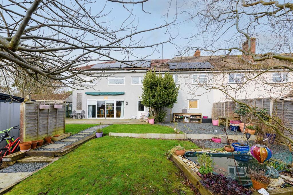 TEK HiRes 250205 028.jpeg