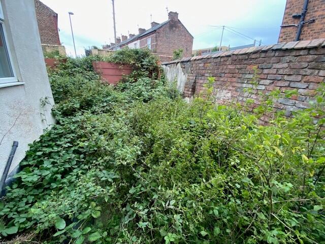 Garden T202510231634.jpg