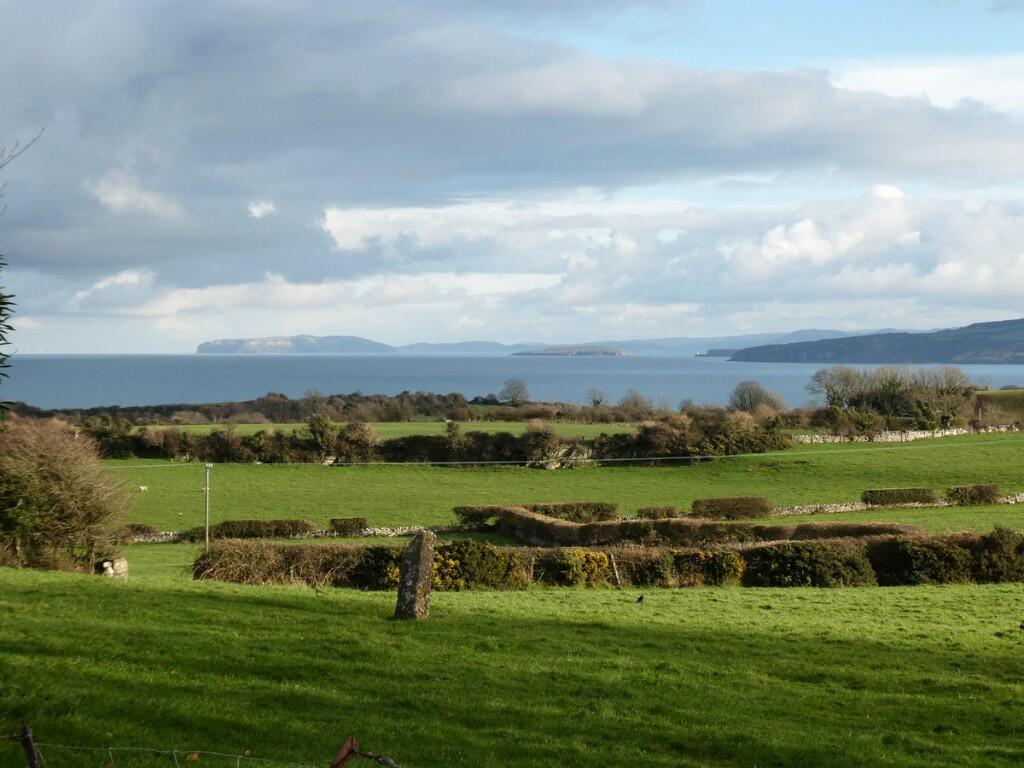 View from Bed 2