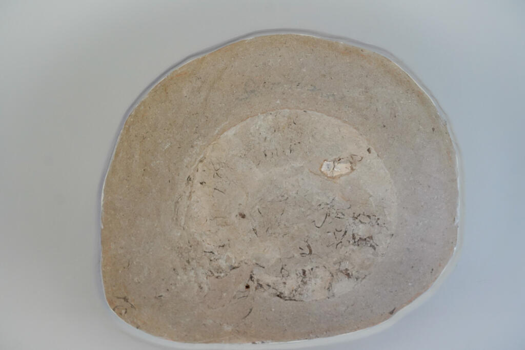 Fossil