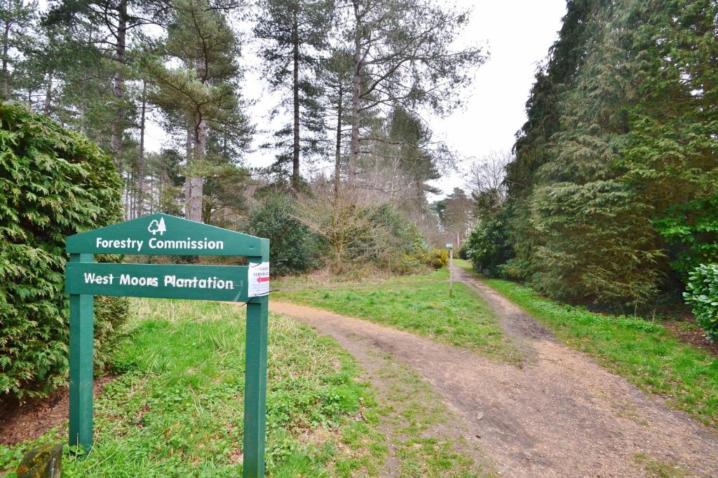 West Moors Plantatio