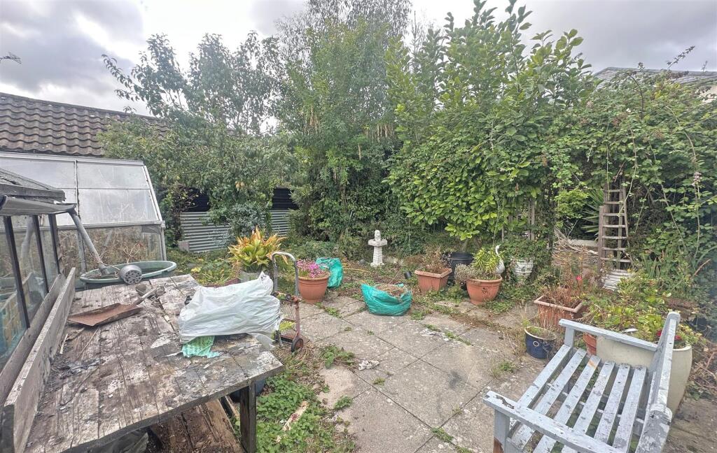 Back Garden.jpg