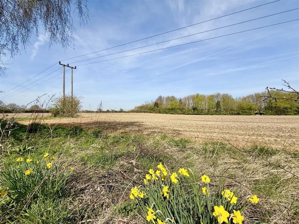 farmland views