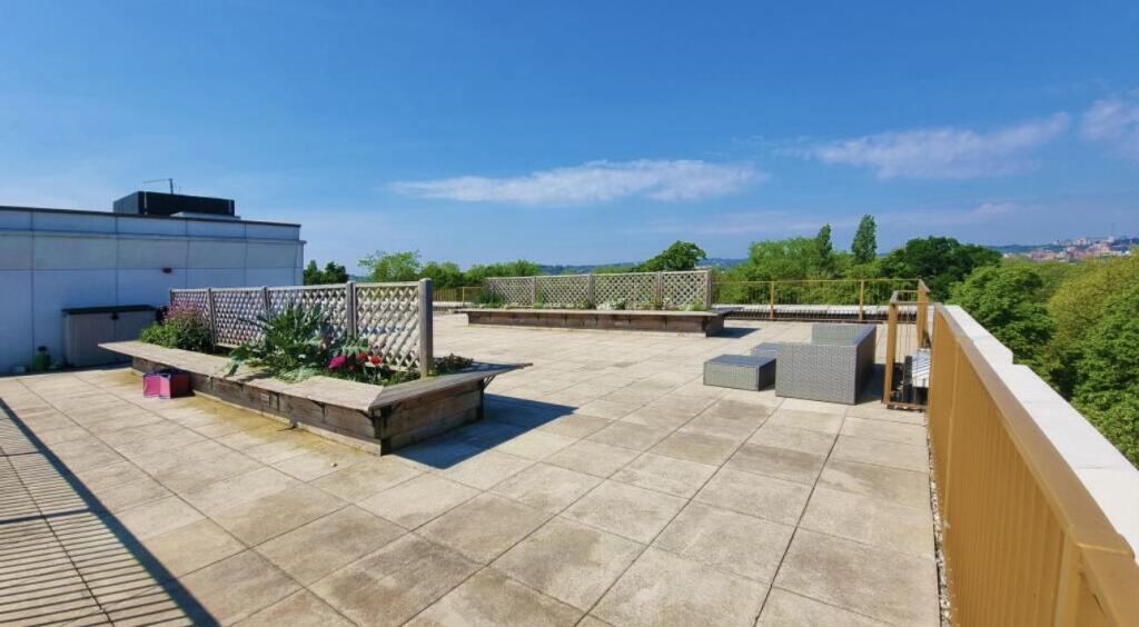 Opal House Terrace photo..jpeg