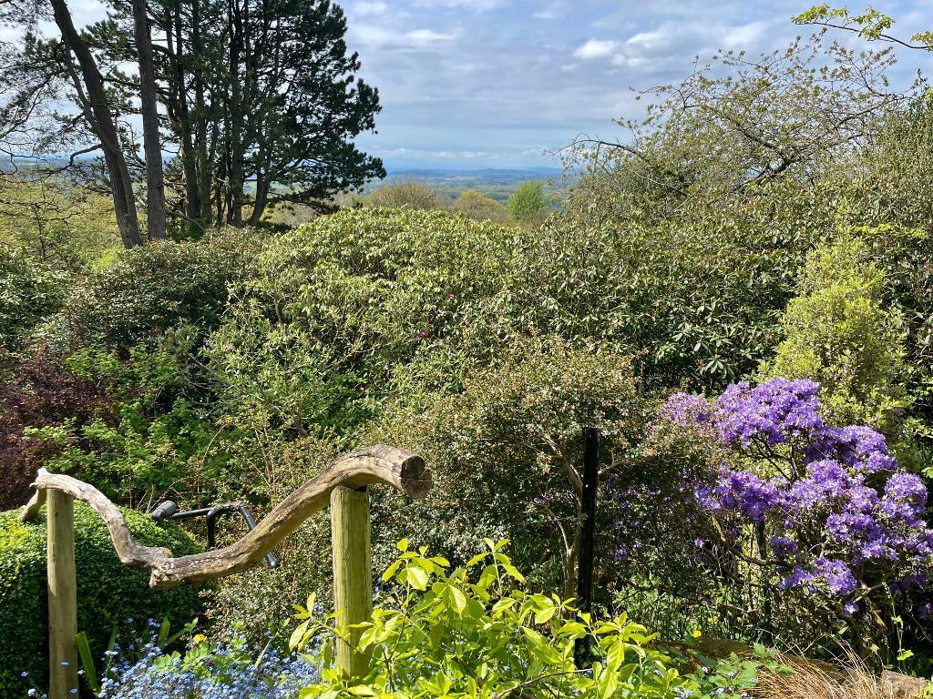 Explore this captivating garden!