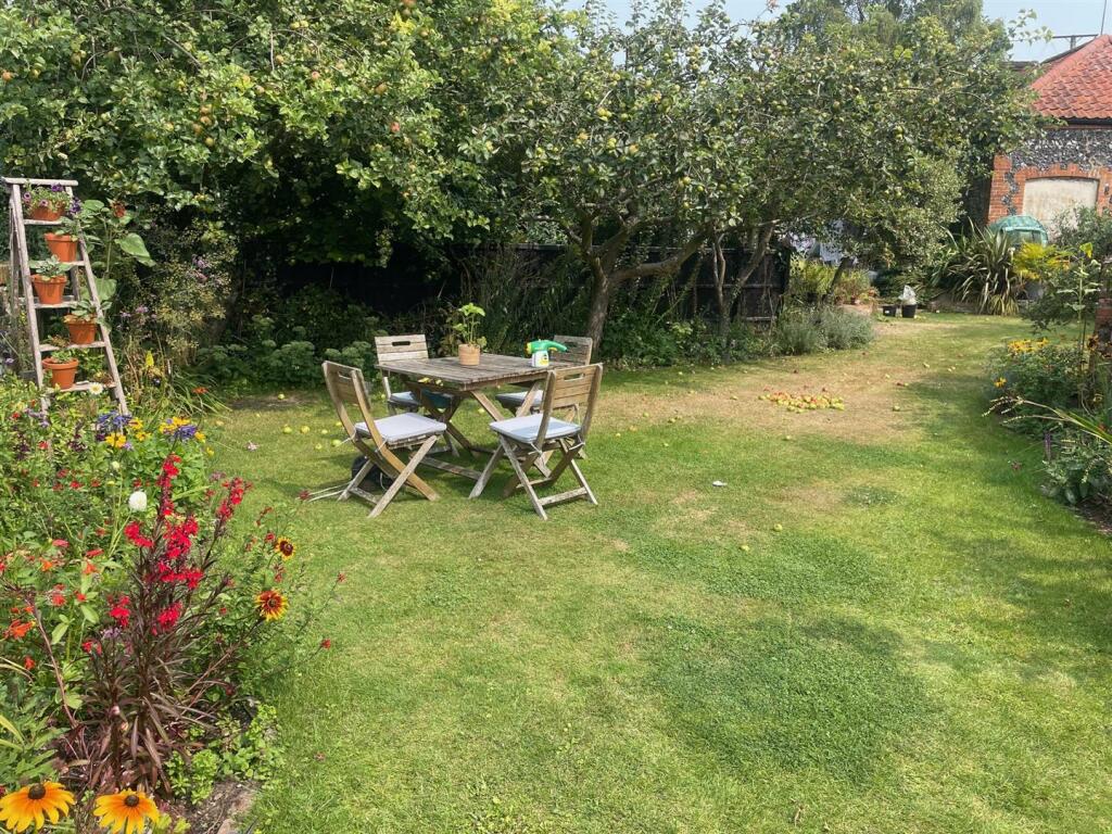 Garden in summer.jpg