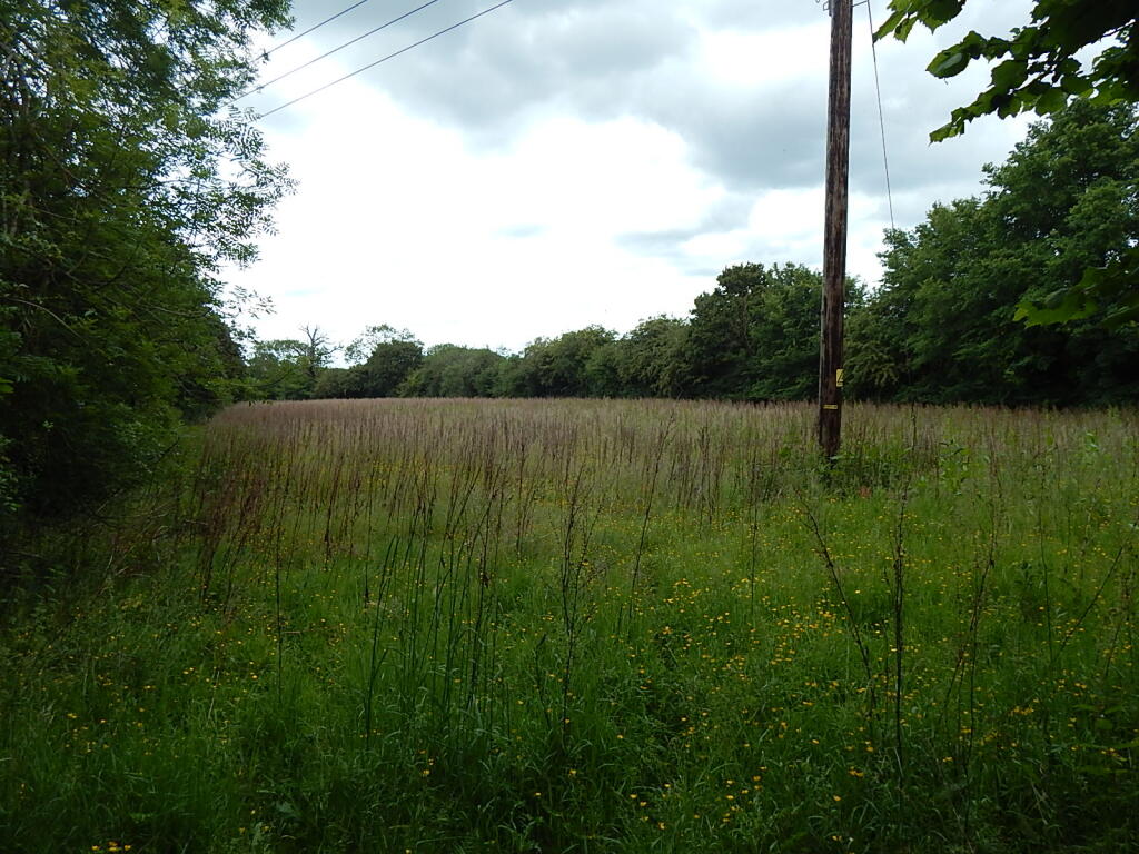 6 T202509241148.jpg