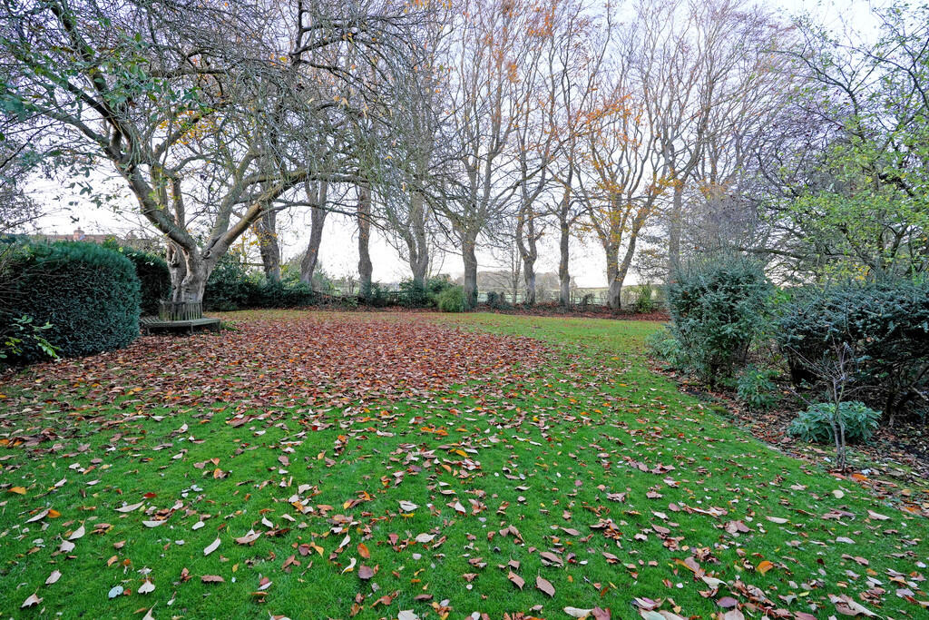 DSC05636
