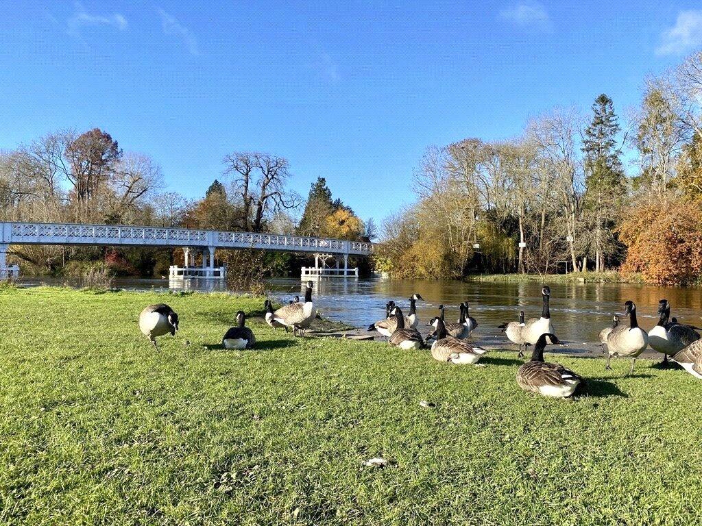 Thames Side Walks