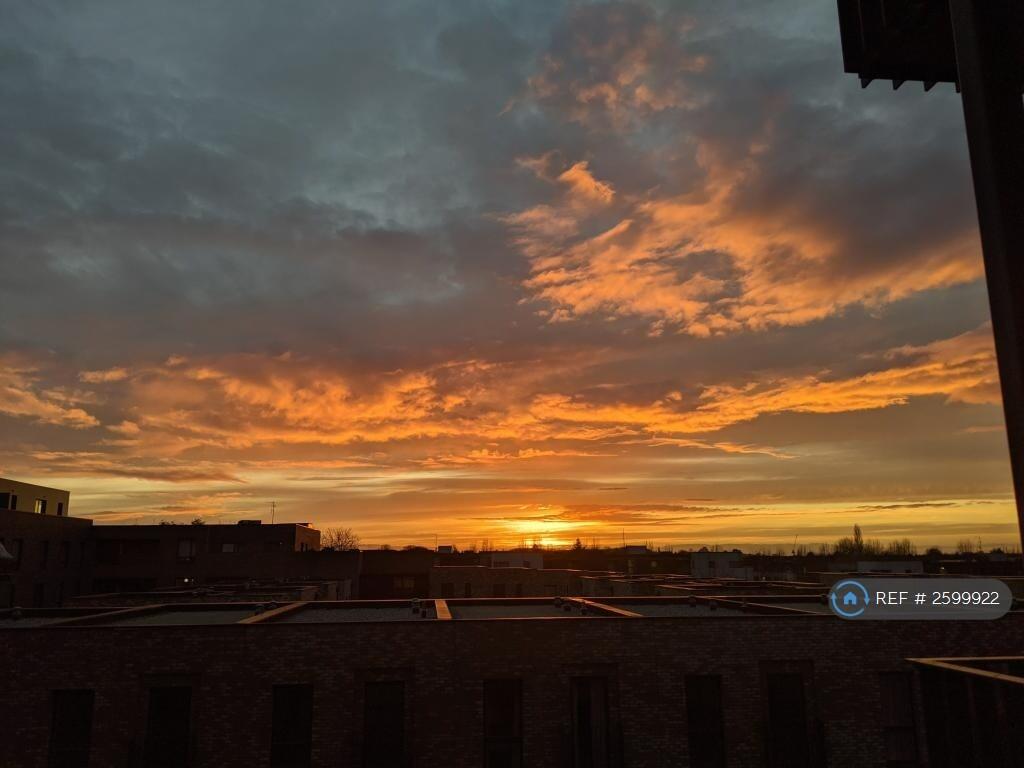 Balcony Views