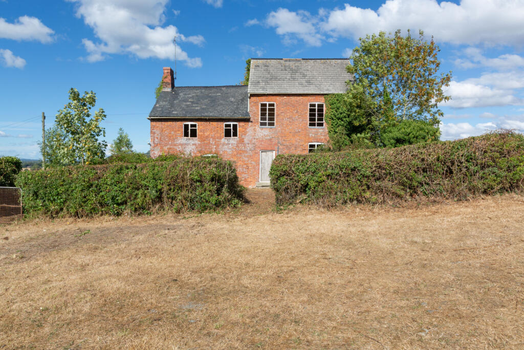 Lot 1