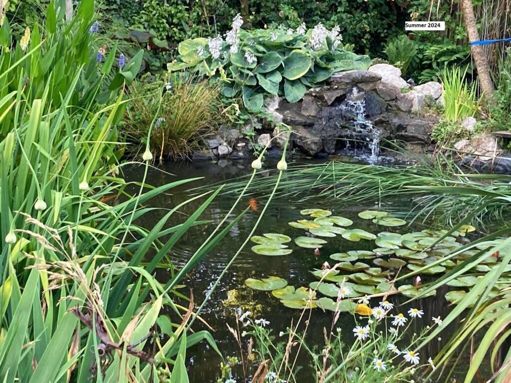 NEW V Garden 10