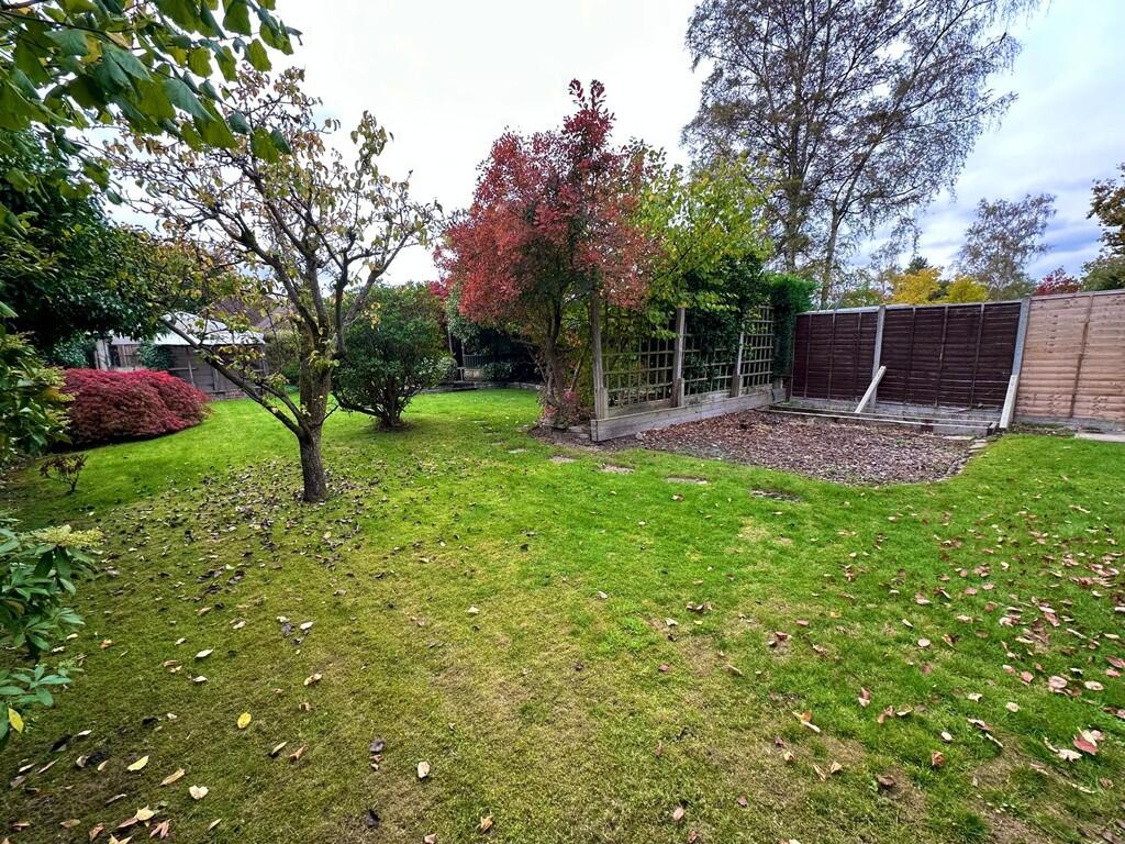 IMG-20251019-WA00...