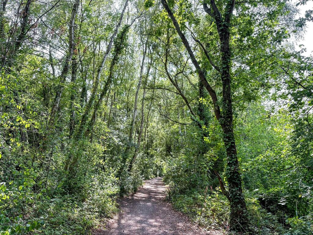 Walks Nearby