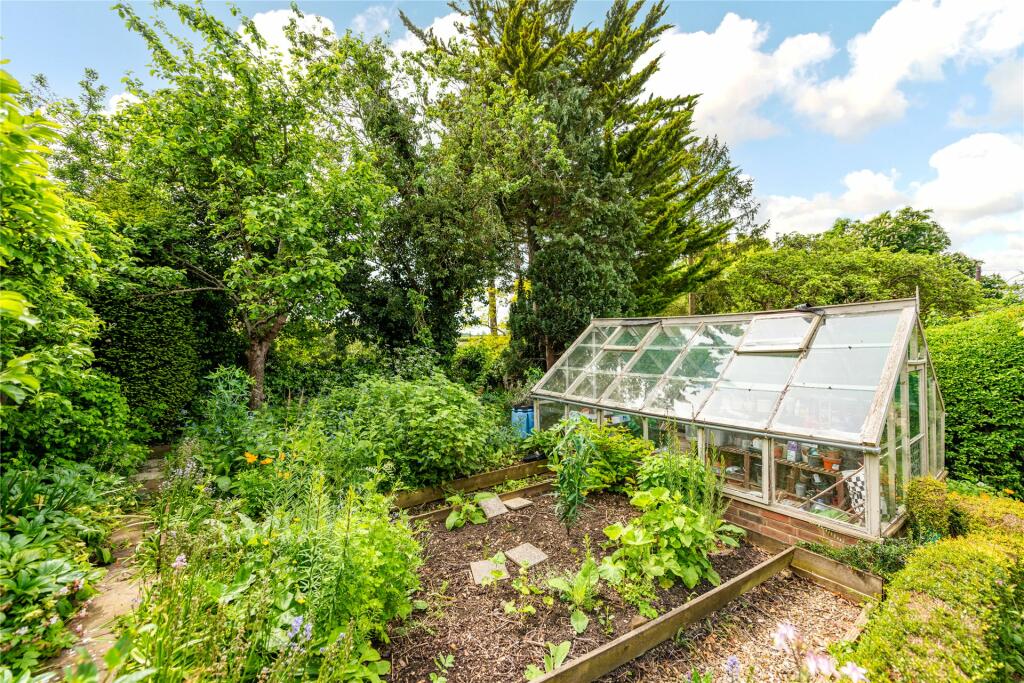 Vegetable Plot