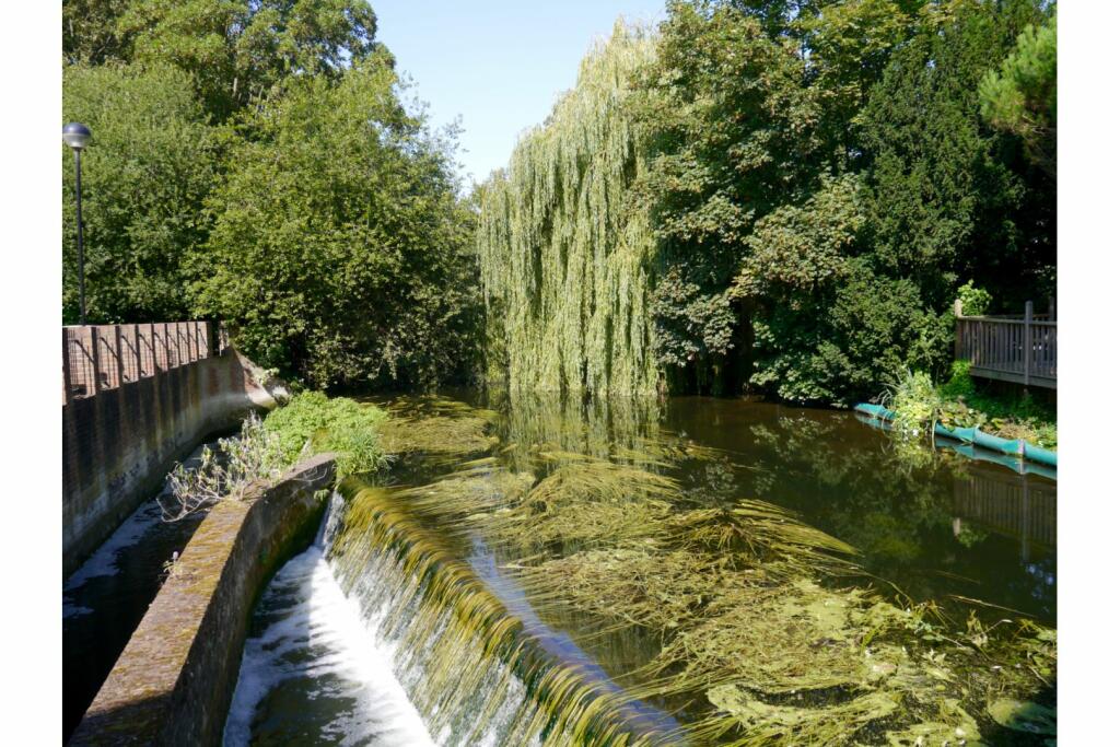 Nearby River