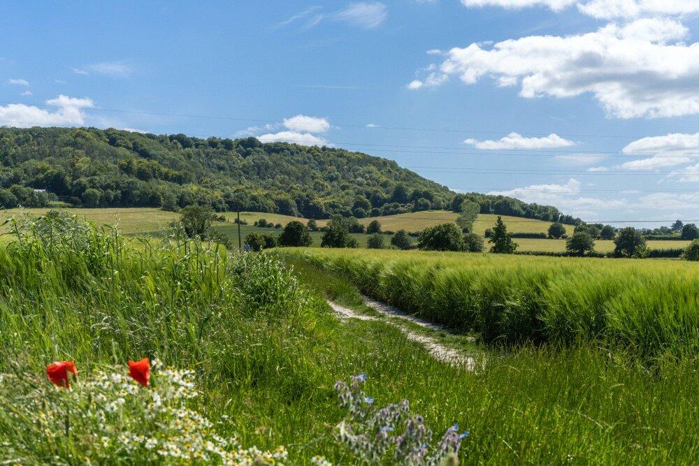 The Ridgeway