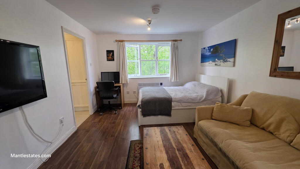 MAIN ROOM