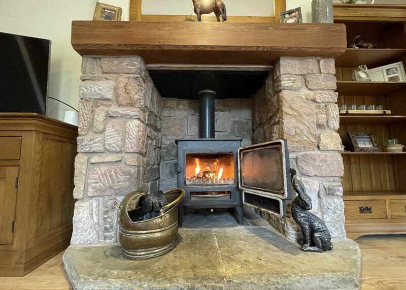 Log Burner 