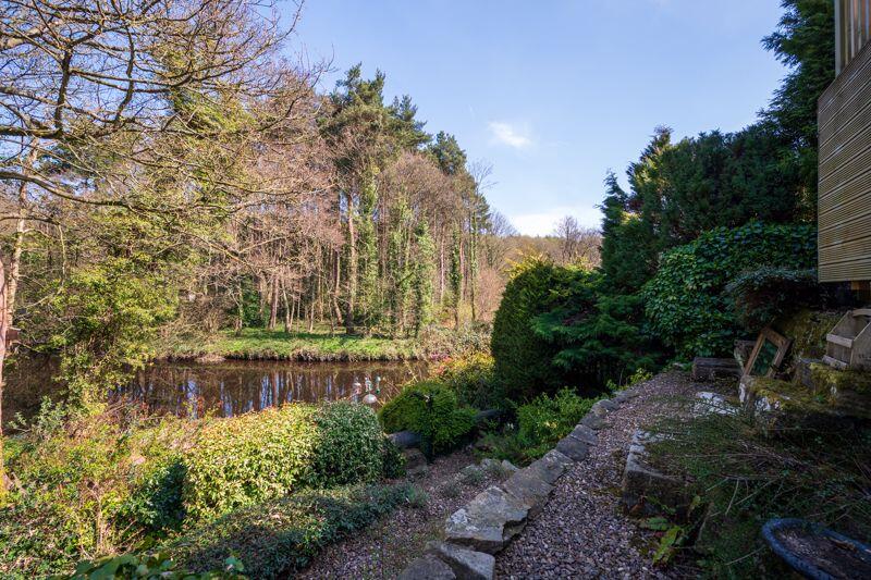 Garden And River