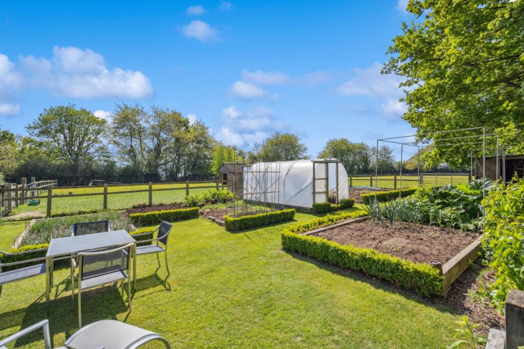 Vegetable Garden
