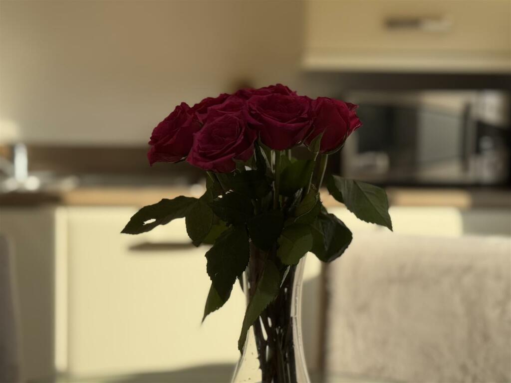 image00039.jpeg