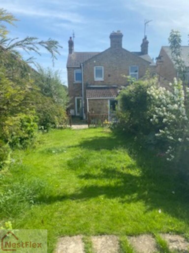 lawn.jpeg