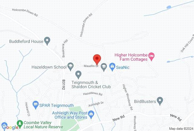 Google Maps Image